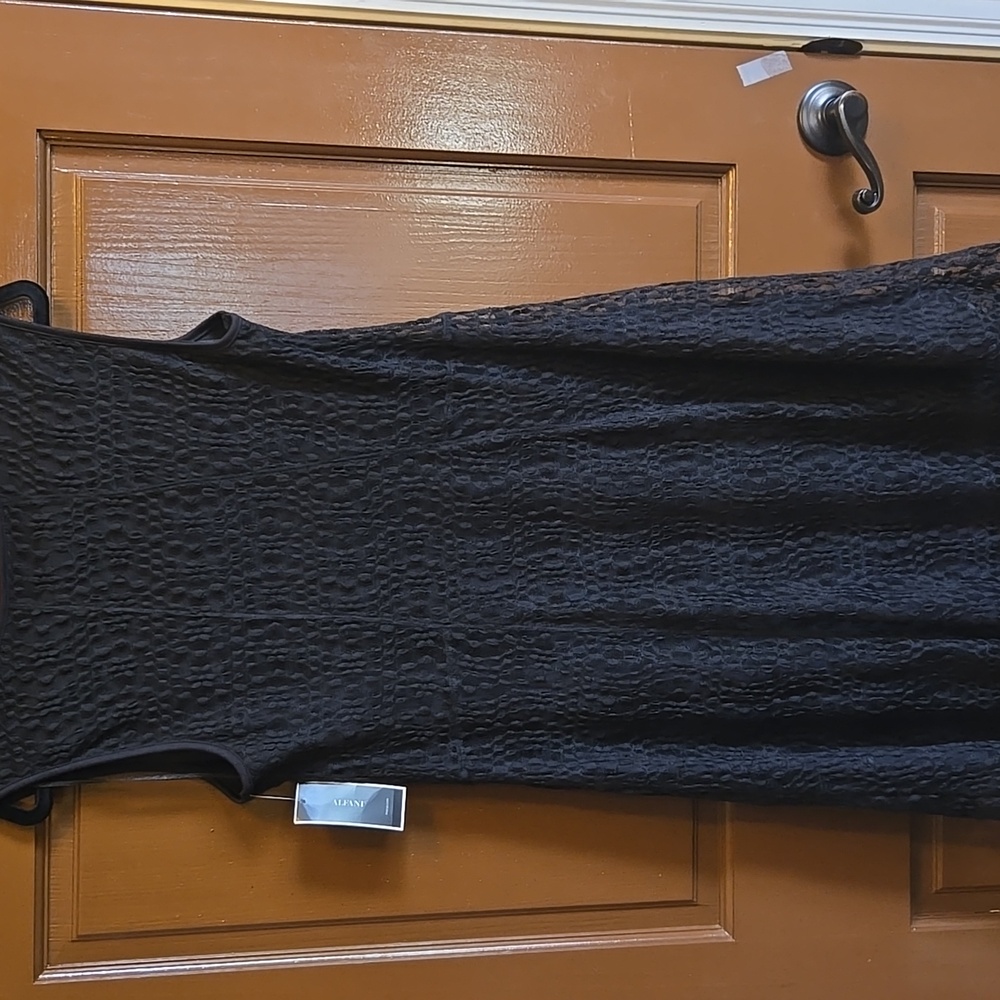 Alfani-Black tank style pullover sleeveless mesh lace dress Sz L NWT. - Picture 6 of 8